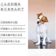 犬長持ちオヤツ鹿肉骨200ｇ10本今だけオマケ2本付。現金手渡し可能。の画像