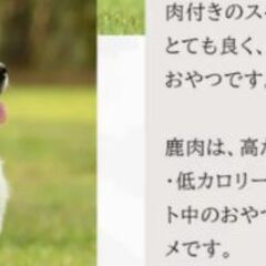 犬長持ちオヤツ鹿肉骨200ｇ10本今だけオマケ2本付。現金手渡し可能。の画像