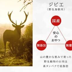 犬長持ちオヤツ鹿肉骨200ｇ10本今だけオマケ2本付。現金手渡し可能。の画像