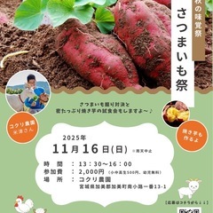 11/16（日）さつまいも収穫祭