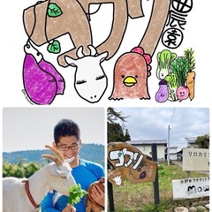 11/16（日）さつまいも収穫祭 - 仙台市