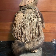 【縁起物】たぬきの剥製の画像