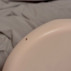 saito s622cs shell pinkpinkの画像