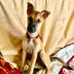 スレンダーでアクティブな女の子！人が大好き！