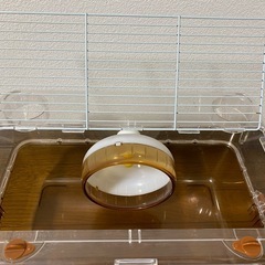 ハムスター ケージの画像