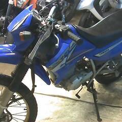 YAMAHA XTZ125E 青 エンジン始動確認 自賠責保険で乗れます 半額配送キャンペーン 期間限定 現状渡し諸経費￥0- 横浜 P-Yardの画像