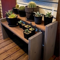 植物棚 植物ラックの画像