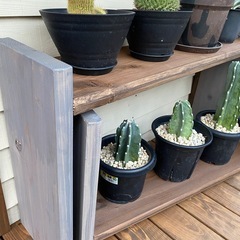 植物棚 植物ラックの画像