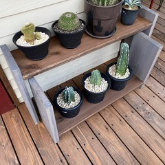 植物棚 植物ラックの画像