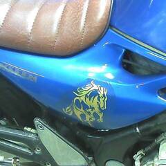 KAWASAKI バリオス-2 青 エンジン始動確認 自賠責保険で乗れます 半額配送キャンペーン 限定 現状渡し諸経費￥0- 横浜 P-Yardの画像