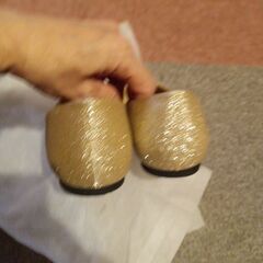 未使用　Lサイズパンプスの画像