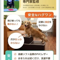 ハグワン　ペットステップ　犬の階段 の画像