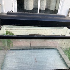 水槽　60cmX30cmX35cm 中古品の画像