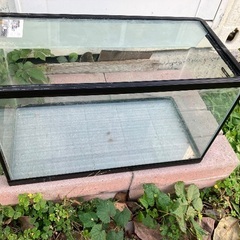 水槽　60cmX30cmX35cm 中古品の画像