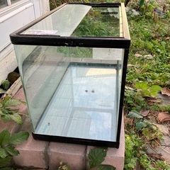 水槽　60cmX30cmX35cm 中古品の画像