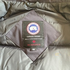 カナダグースダウンジャケットの画像