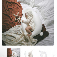 ララス枕の画像