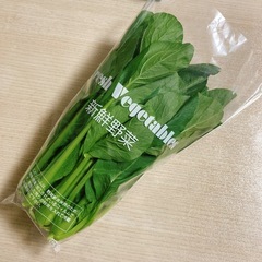 【採れたて小松菜】300g