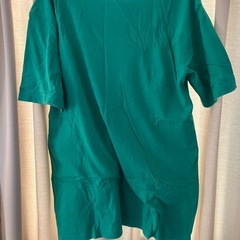 チャンピオン　Tシャツ　グリーン　Lサイズ　無地の画像