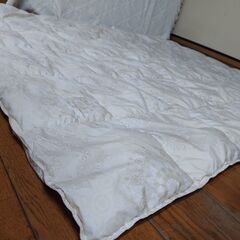 西川　掛布団　薄目　150㎝×210㎝　羽毛肌掛けふとん　の画像