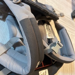 エルゴベビーの抱っこひもの画像