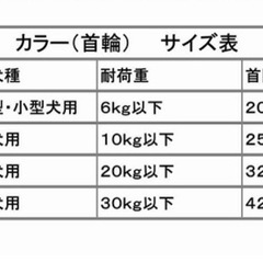 ドギーマン　デニム　首輪の画像
