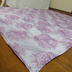 西川　掛布団　薄目　赤色　150㎝×210㎝　羽毛肌掛けふとん　の画像