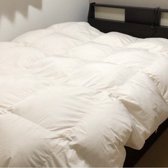 ニトリベッド&マットレス
の画像