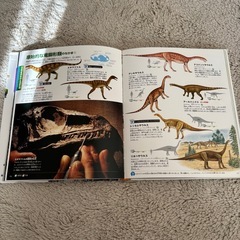 講談社 MOVE 恐竜 DVD付きの画像