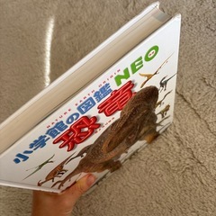 小学館　図鑑 NEO 恐竜の画像