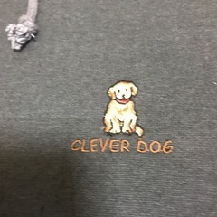 CLEVER DOG グレー のパーカー Lの画像