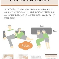 いろいろ使える枕　低反発 、専用カバーの画像