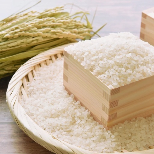 ㊿令和7年度茨城県コシヒカリ新米になります。大人気商品となっております。10キロ入りです。コメントお待ちしております。