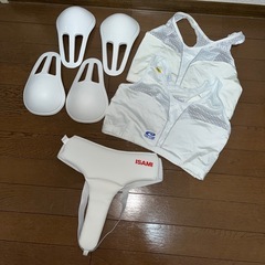 空手用ヘッドギア・チェストガード・アンダーガードの画像