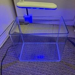 水槽　ライトセットの画像