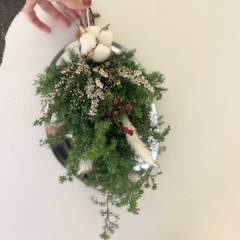 京田辺市大住ヶ丘　ドライフラワークリスマススワッグ　フレッシュ針葉樹クリスマススワッグの画像