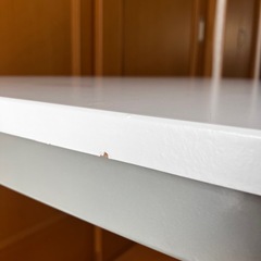 白テーブル　オフィス　作業用　仕事用の画像