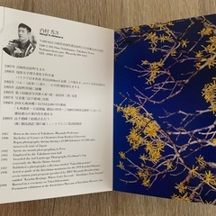 ポストカード30枚の画像