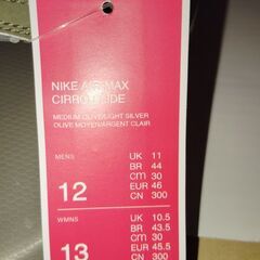 新品未使用品 NIKE Air Max Cirro 30cm サンダル ナイキの画像