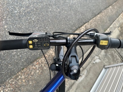 電動自転車　ブリヂストン　リアルストリーム