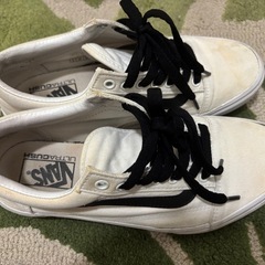 VANSスニーカーの画像
