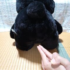 🖤まっ黒なうさぎのぬいぐるみ🐰の画像