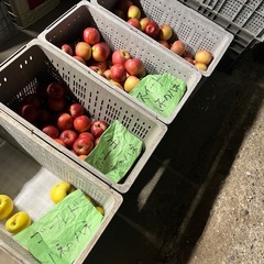 【ハネだしのハネだしりんご】1袋詰め放題の画像