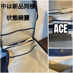 高級ブランド　ロエベとエースのコラボ　バック　ガーメントバック　の画像