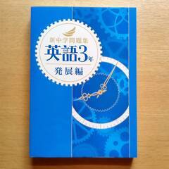 英語プロ家庭教師 オンライン｜中学高校生 個人契約（静岡県）の画像