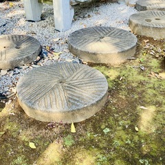 石臼　庭石　御影石　飛び石　直径59cm×厚さ14cmの画像
