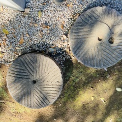 石臼　庭石　御影石　飛び石　直径59cm×厚さ14cmの画像