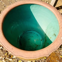 水甕　ピータン甕　睡蓮甕　メダカ鉢の画像