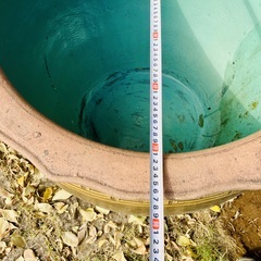 水甕　ピータン甕　睡蓮甕　メダカ鉢の画像