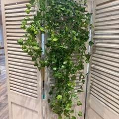 造花(10種類)の画像